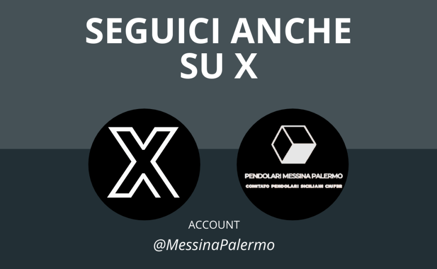 Seguici su X